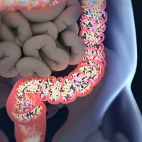 What does your microbiome do?