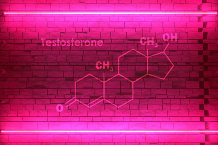 Testosterone women in menopause