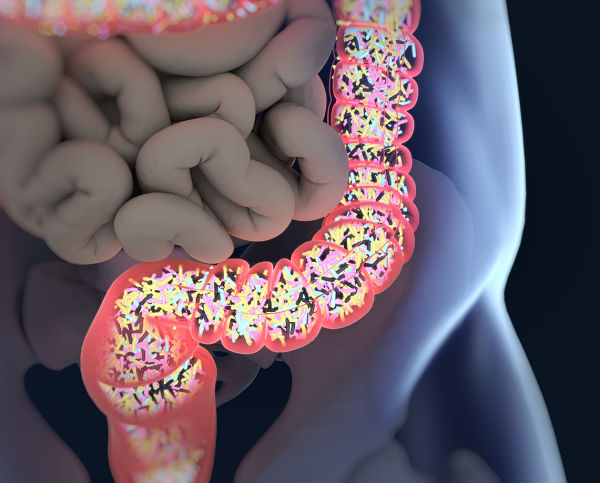 What does your microbiome do?