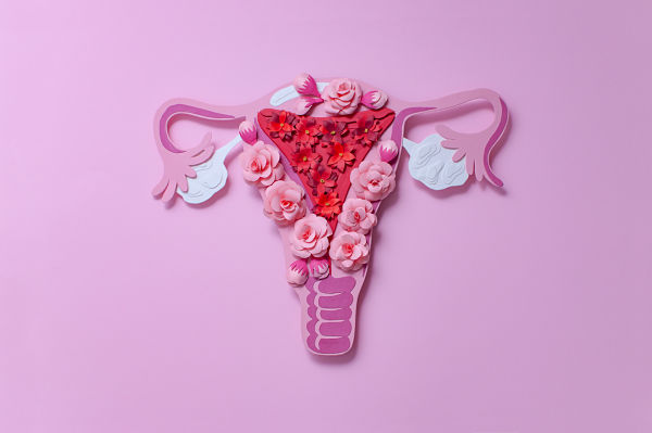 Info on Bijuve HRT