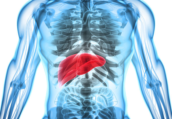 What are the early signs of Liver disease?