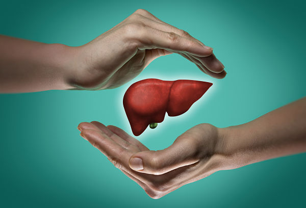 Love your Liver
