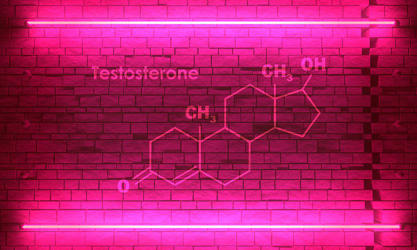 Testosterone women in menopause