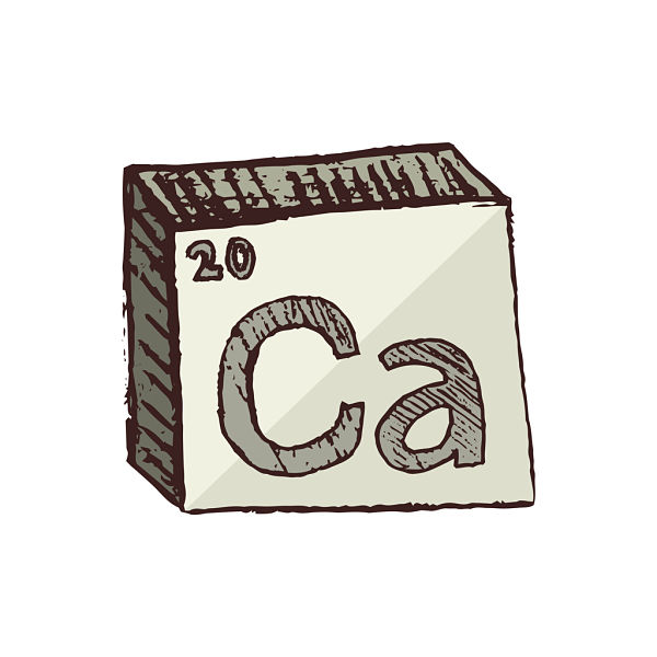 Vegan food sources high in calcium